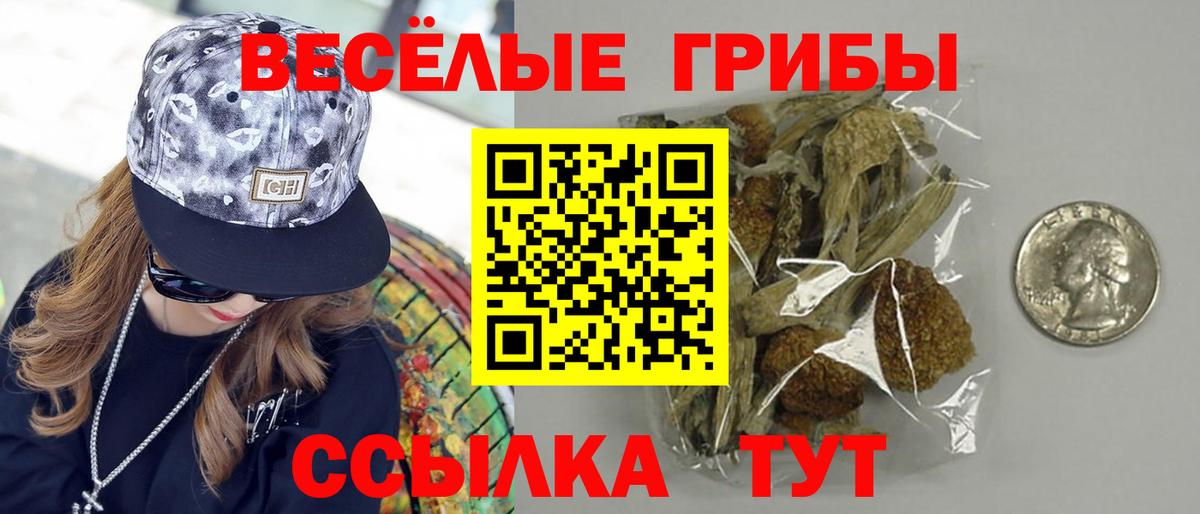 Псилоцибиновые грибы MAGIC MUSHROOMS  Вход с VPN  Галлюциногенные грибы GOLDEN TEACHER  хочу наркоту  Дятьково 